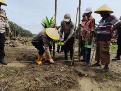 Ketahanan Pangan, Polsek Bukit Kapur Tanam Jagung