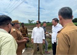 Waka DPRD Nasir: Program Cetak Sawah Kunci Peningkatan Kesejahteraan Petani di Lampung