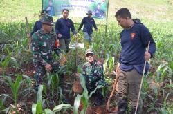 Perhutani KPH Kendal dan Kodim Kendal Tanam Pohon Buah Unggulan di Gua Kiskendo