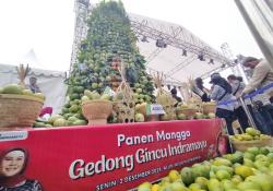 Festival Budaya Jawa Barat Digelar Meriah di Indramayu, Warga Nikmati Seni dan 24 Jenis Mangga