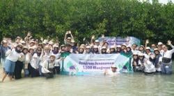 Tanam 1500 Mangrove, Cara BMM dan Bank Muamalat Peduli Bumi