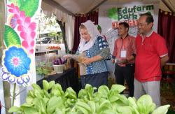 Ayo Merapat! Ada Ajang Simpang Lima Farmers Market dan Jewel of Central Java di Simpang Lima