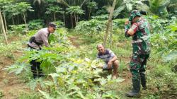 TNI-Polri Ajak Warga Bantardawa Ciamis Jaga Kondusivitas Pasca Pilkada dan Dukung Ketahanan Pangan