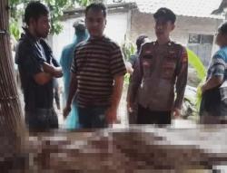 Tragis! Remaja di Lebak Tewas Tenggelam usai Lompat dari Pohon Kelapa