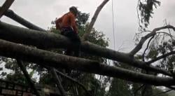 52 Rumah di Ciamis Rusak Akibat Hujan Deras Disertai Angin Kencang dan Pohon Tumbang