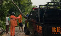 Hujan Deras dan Angin Kencang di Sukoharjo, Pohon Tumbang Timpa Rumah Warga