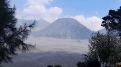 Wisatawan Harus Perhatikan Ini Jika Ingin Menikmati Libur Nataru di Gunung Bromo