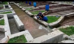 Kerap Memunculkan Bau Tak Sedap, Warga Tenjolaya Kabupaten Bogor Protes Keberadaan Tambak Ikan