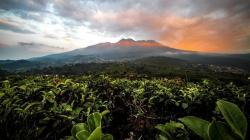 Eksplorasi Desa-Desa di Karanganyar: Surga Kecil di Kaki Gunung Lawu