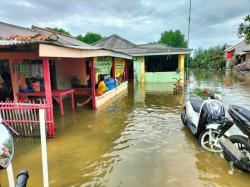 5 Desa di Muaragembong Bekasi Terendam Banjir Rob, 3.000 KK Terdampak