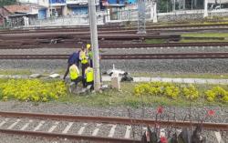 Mahasiswi Asal Cigombong Tewas Tertabrak Kereta Api di Stasiun Tambun Bekasi