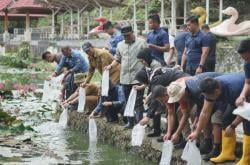 DKP Sulbar Sudah Bagikan 1,5 Juta Bibit Ikan Nila ke Warga dan Kelompok Tani