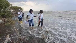 Menjaga Pantai Tirang, Menembus Ombak demi Menanam Mangrove