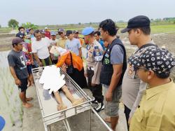 Petani di Lamongan Ditemukan Meninggal di Sawah