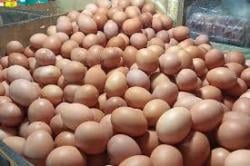 Fluktuasi Harga Pangan Hari ini, Beras dan Bawang Turun, Telur Ayam Ras Naik jadi Rp31.690 per kg