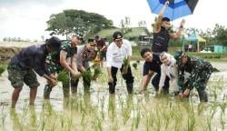 Satgas Swasembada Pangan “Sego Boran” Lamongan Diresmikan, Perkuat Ketahanan Pangan Menuju Asta Cita