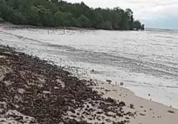 Cuaca Ekstrem Hantam Kapal Tongkang, Batu Bara Tumpah di Pantai Popole Pandeglang!