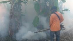 Populasi Nyamuk Meningkat, Dinkes Kota Fogging Empat Kelurahan