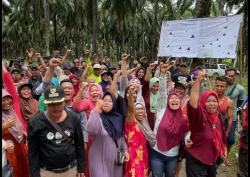 Pemkab Bengkulu Utara Akan Gelar Audiensi Konflik Masyarakat Pekal dan PT Agricinal