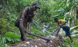 Surga Tersembunyi, Ekspedisi TelusuRI Mengungkap Keajaiban Hutan Lestari