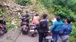 Pohon Tumbang Tutup Akses Jalan Poros Singajaya-Cihurip