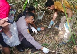 Tengkorak Manusia Ditemukan di Kebun Sawit di Perenap, Warga Mengaku Tidak Ada Kehilangan