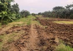 BBWS Pemali Juana Semarang Perbaiki Tanggul Sungai Tuntang di Gubug Yang Longsor