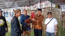 Selain Miliki Domba, Kini Garut Punya Ayam Pelung Yang Jadi Juara Tingkat Nasional