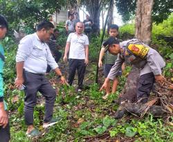 Pria Lansia Bujangan Tewas Terjatuh dari Pohon Durian 