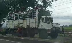 Pohon Tumbang Timpa Truk di Sukoharjo Saat Angin Kencang Sore Hari