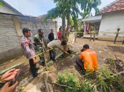 Warga Selogudig Probolinggo Temukan Granat Nanas, Diduga Peninggalan Jaman Belanda