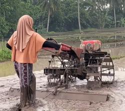 Anggita Sari Viral di TikTok,Aksi Membajak Sawah yang Bikin Warganet Kagum