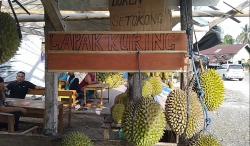 Musim Durian Tanggamus: Libur Nataru Dongkrak Omzet dan Tarik Wisatawan