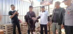 Kabupaten Banjarnegara Siapkan Program Pengembangan Kambing Etawa Ras Kaligesing