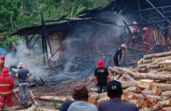 Lupa Matikan Api, Pemotongan Kayu di Cidaun Ludes Terbakar