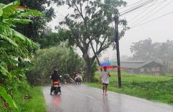 Pohon Tumbang Akibatkan Akses Jalan Sindangbarang-Ciawigebang di Kuningan Tertutup