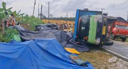 Truk Udang Vaname Terguling di Bangka Barat