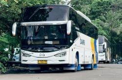 DAMRI Hadirkan Promo Awal Tahun 2025, Cek Destinasi Liburan Hemat Sekarang!