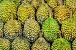 8 Ciri Durian yang Bagus, Matang, Manis dan Berdaging Tebal