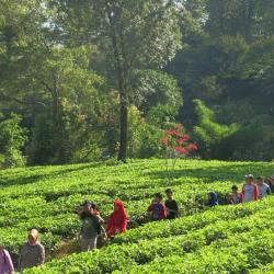 Rekomendasi Wisata Keluarga di Bogor, Cocok untuk Akhir Pekan!