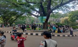 Taman Margasatwa Ragunan Dipadati Pengunjung Jelang Berakhirnya Liburan Sekolah