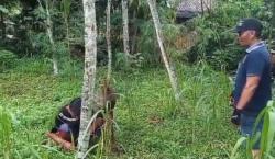 Mengerikan! Ibu Ini Menjerit Histeris Diserang Monyet Liar saat Mencuci di Sungai