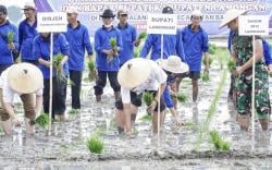 Lamongan Fokus Dukung Swasembada Pangan 2025, Ini Strategi Pemkab