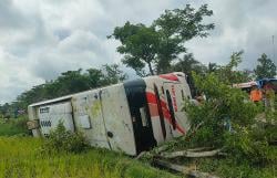 Bus Murni Jaya Terguling ke Sawah di Kulonprogo, 6 Orang Terluka