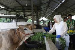 Khofifah Dorong Proteksi Pasar Hewan untuk Cegah Penyebaran PMK