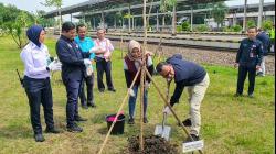 Program Gerakan Tanam 1 juta Pohon untuk Penghijauan