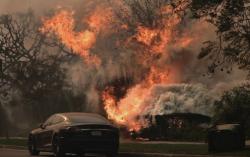 Penyebab Kebakaran Dahsyat Hanguskan Kota Los Angeles, Angin Kencang dengan Kecepatan 160 km Perjam