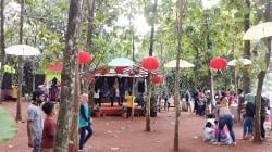 Wisata di Sekitar Gunung Putri Bogor, Ada Hutan Jati hingga Kampung China