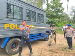 Serang Warga, Buaya 2 Meter Ditangkap di Perairan Tembelok