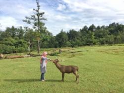 Tempat Wisata di Jonggol, Yuk Bareng-Bareng Kasih Makan Rusa langsung dari Tangan Kamu 